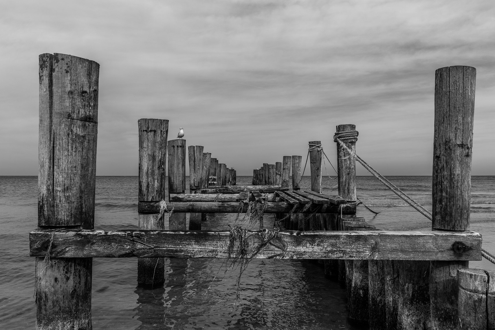 041013 Steg Ostsee | Fotograf in Kassel