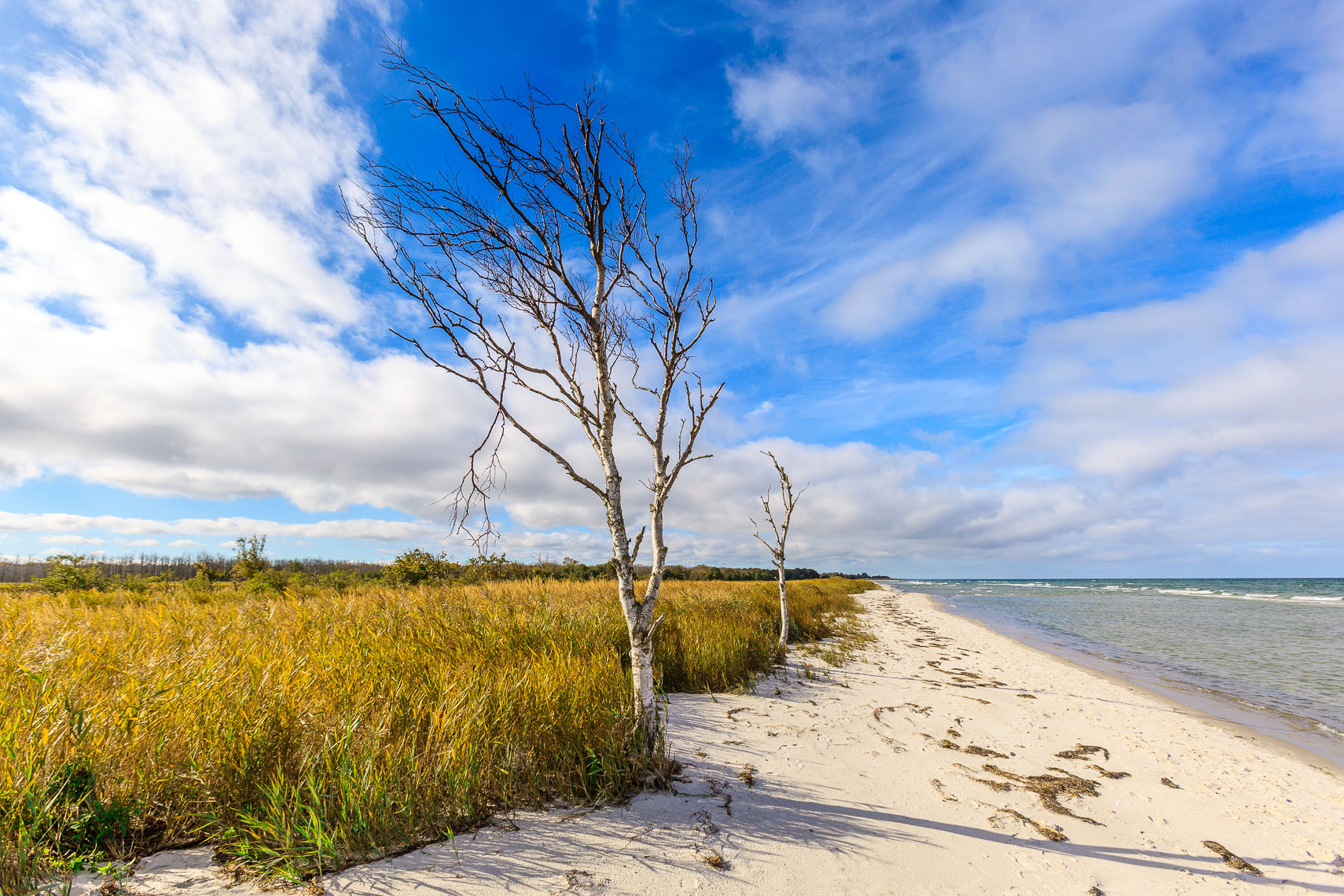 061013 Kernzone Nationalpark Zingst | Fotograf in Kassel