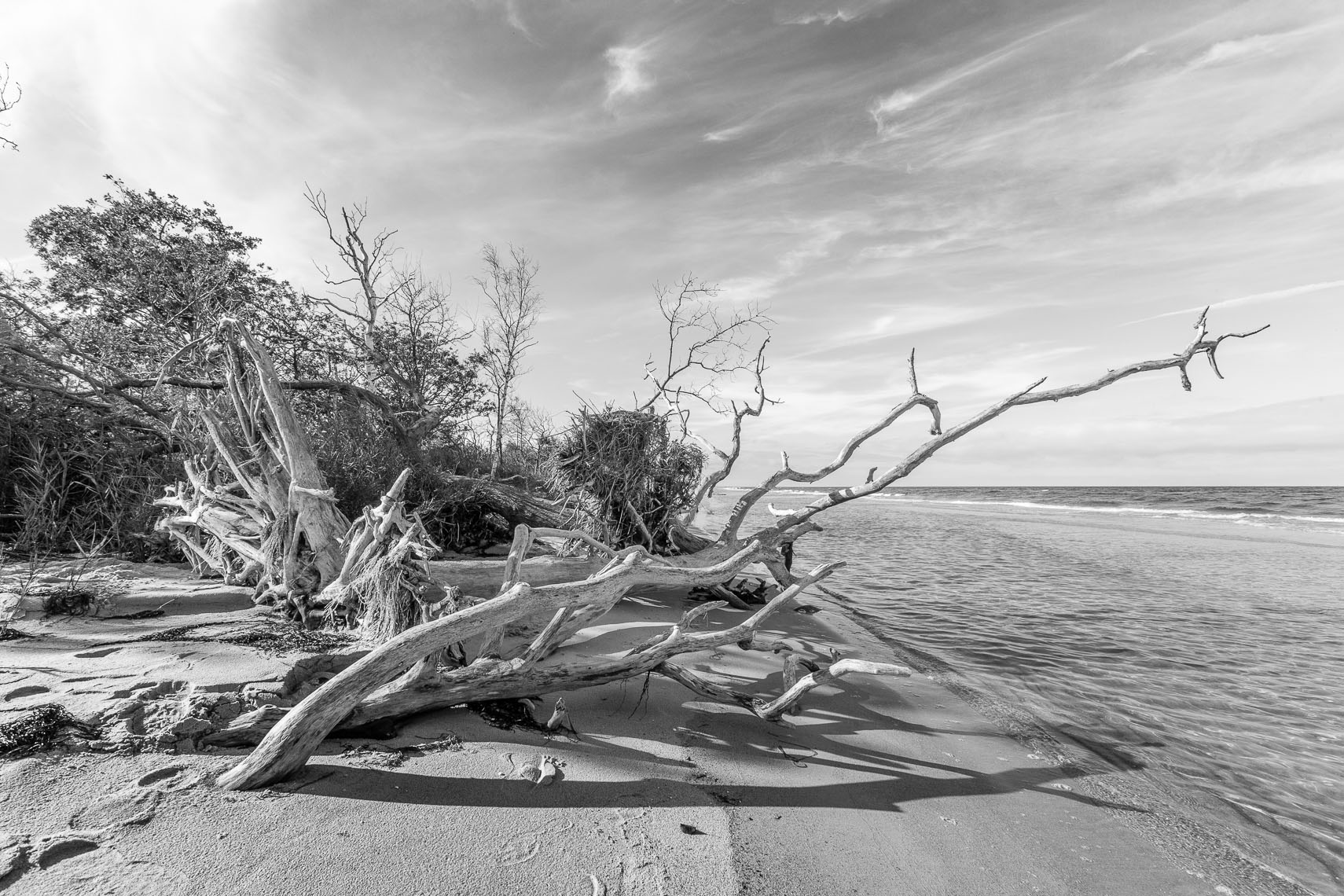 061013 Kernzone Nationalpark Zingst | Fotograf in Kassel